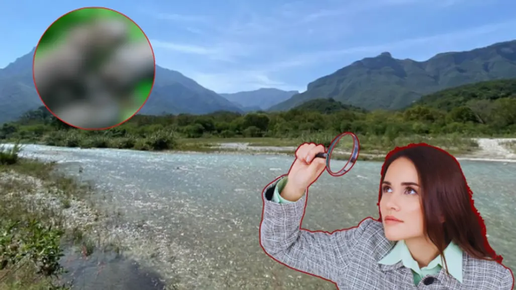 Este es el animal nativo de Nuevo León que se desliza ágilmente por el río Pilón