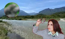 Este es el animal nativo de Nuevo León que se desliza ágilmente por el río Pilón