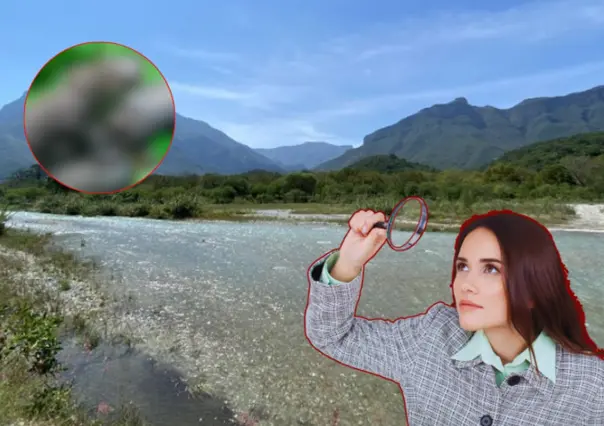 Este es el animal nativo de Nuevo León que se desliza ágilmente por el río Pilón