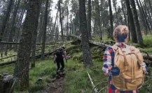 Este es el cerro de Coahuila donde el desierto se transforma en bosque