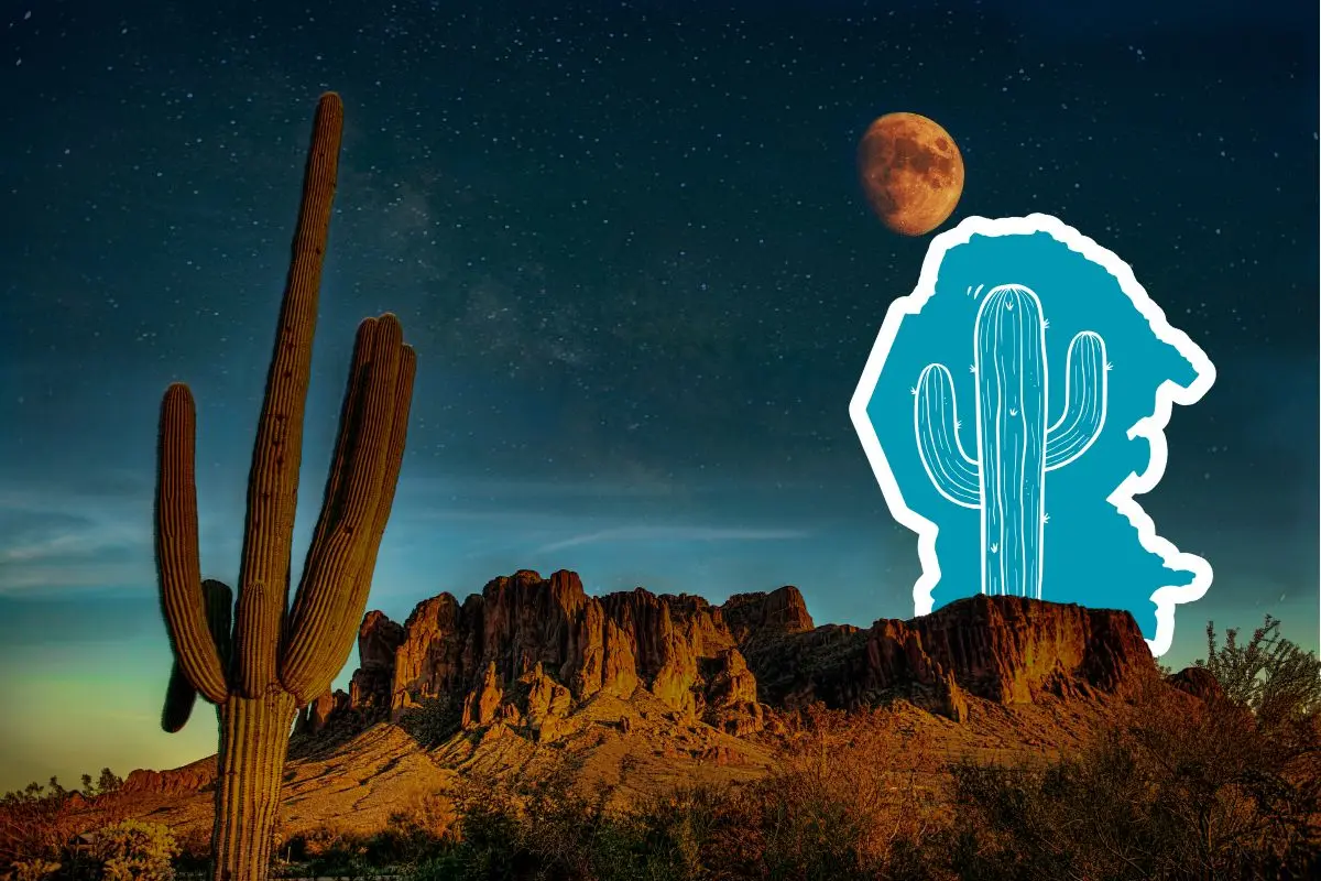 Este es el desierto de Coahuila más pequeño / Foto: Composición de Canva
