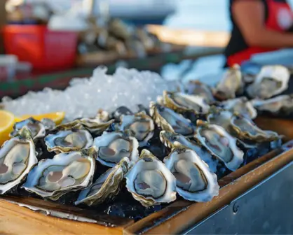 En este mercadito de Altamira puedes encontrar todo tipo de mariscos frescos