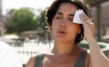Ambientalistas de Tamaulipas proponen refugios climáticos en el sur por el calor extremo