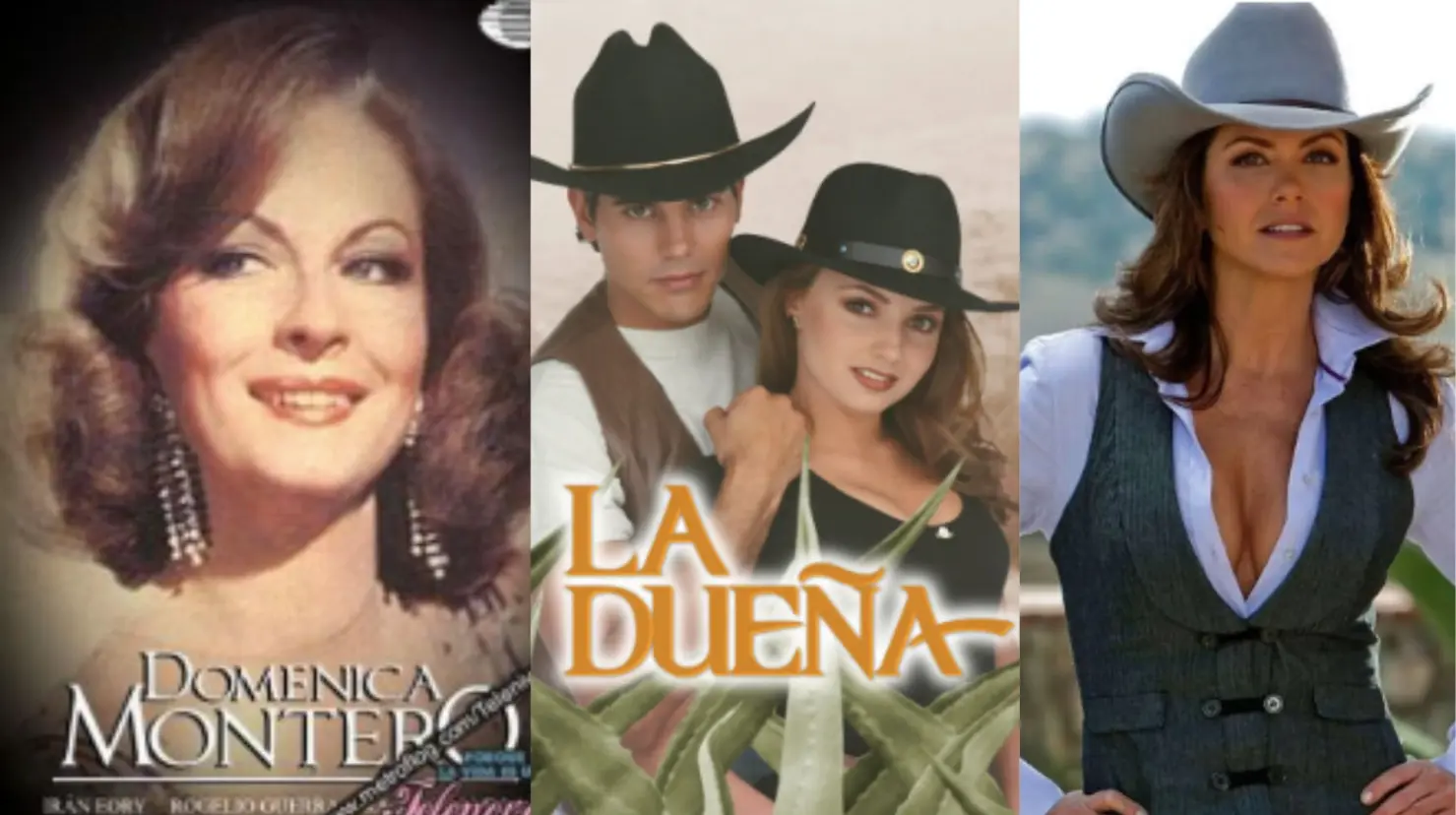En México se han hecho tres versiones de La dueña, una historia original de la cubana Inés Rodena. Foto. Canva.
