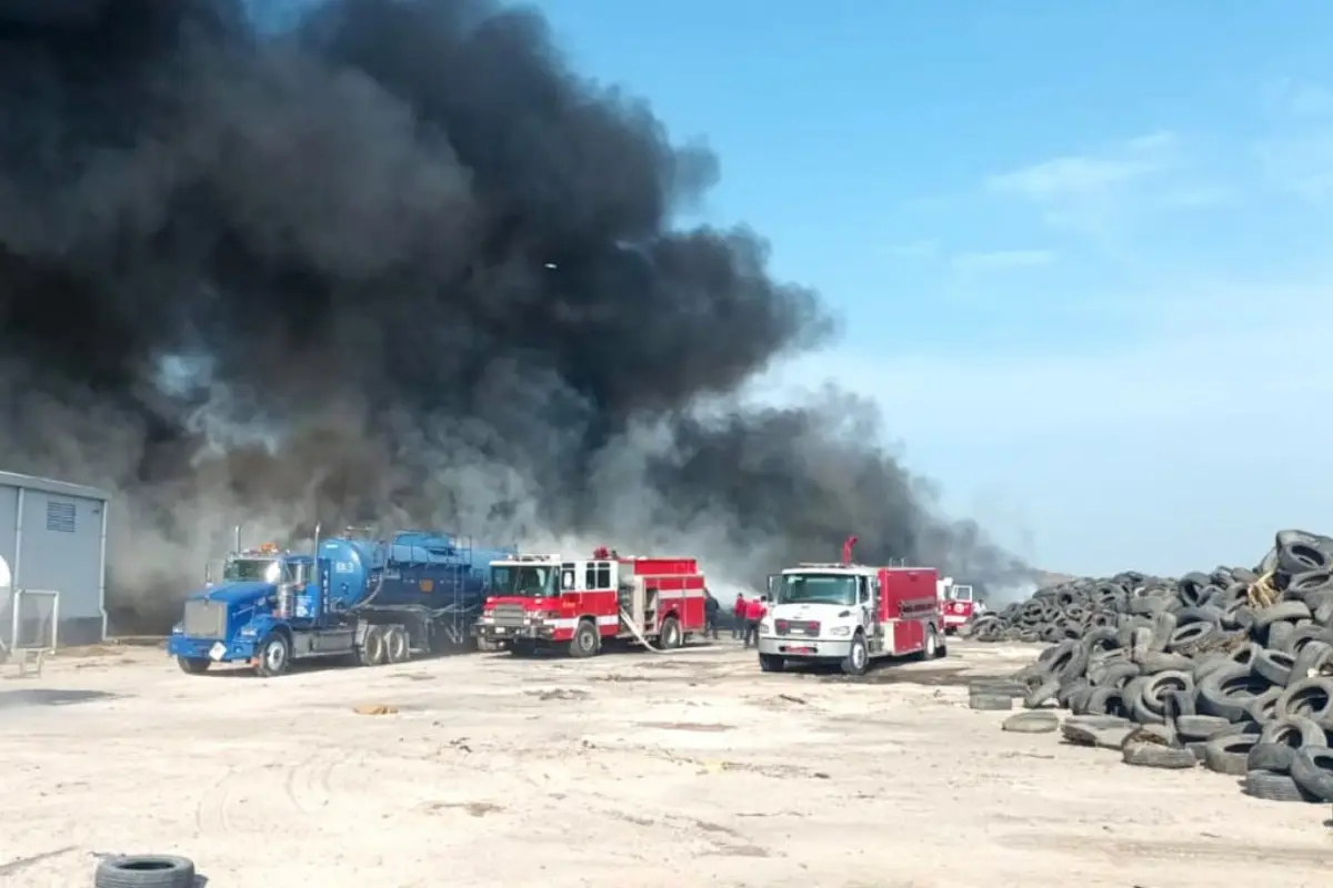 El gobierno de Tamaulipas asegura que no habrá impunidad para quienes dañen el entorno con prácticas prohibidas. Foto: Protección Civil