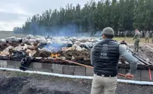 Queman una tonelada de marihuana en la frontera de Tamaulipas