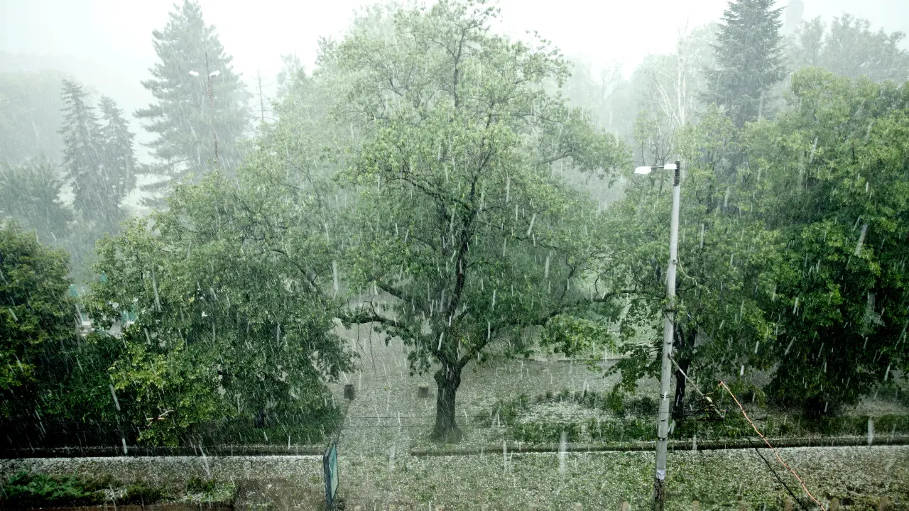 Este fin de semana se prevé un clima con más precipitaciones y posibles inundaciones. Foto: Canva
