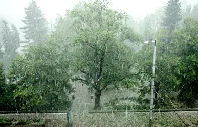 Clima en Edomex para este 14 de junio: ¿se esperan lluvias el fin de semana?
