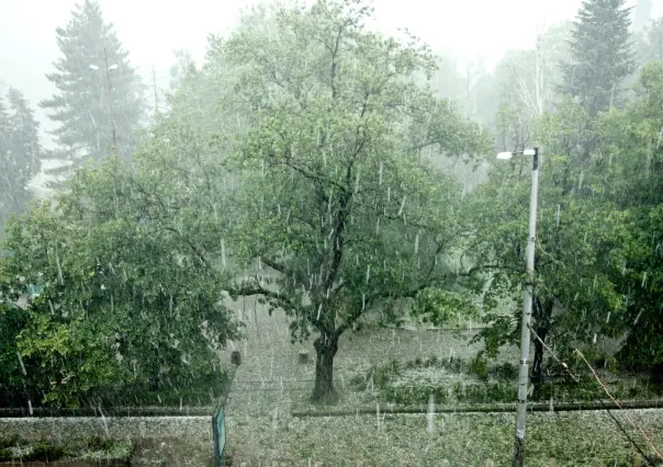 Clima en Edomex para este 14 de junio: ¿se esperan lluvias el fin de semana?