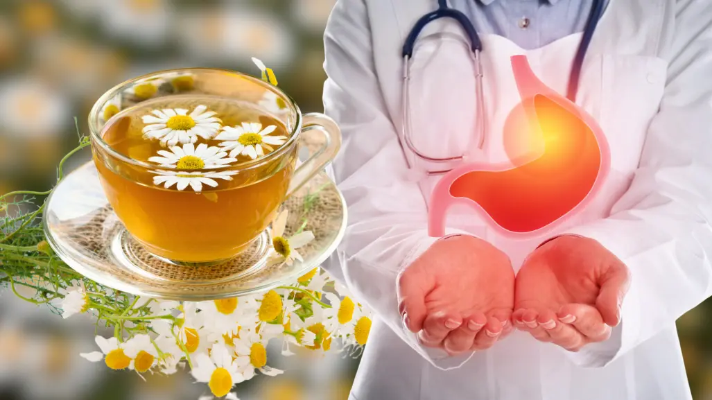 Manzanilla: la infusión ideal para prevenir y calmar la gastritis