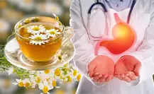 Manzanilla: la infusión ideal para prevenir y calmar la gastritis Manzanilla: la infusión ideal para prevenir y calmar la gastritis