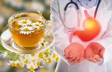 Manzanilla: la infusión ideal para prevenir y calmar la gastritis