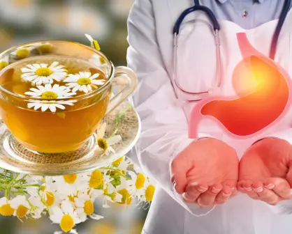 Manzanilla: la infusión ideal para prevenir y calmar la gastritis