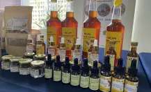 Así se vivió el mercado agroecológico del CICY en Mérida