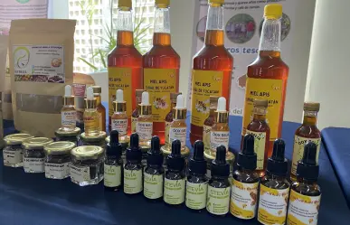 Así se vivió el mercado agroecológico del CICY en Mérida
