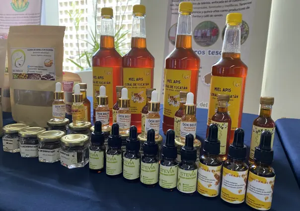 Así se vivió el mercado agroecológico del CICY en Mérida