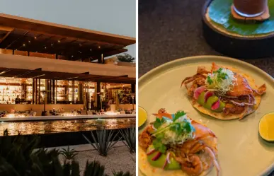 3 restaurantes de Baja California Sur entran a la Guía Michelin: te decimos cuáles son