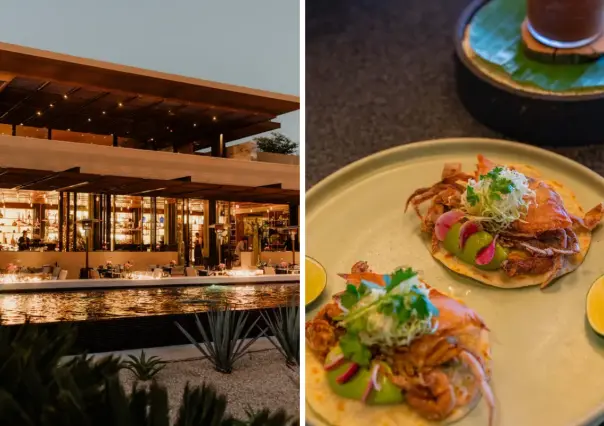 3 restaurantes de Baja California Sur entran a la Guía Michelin: te decimos cuáles son