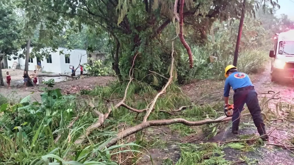 Mini tornado causa destrozos en Villahermosa, Tabasco; varias colonias quedan sin luz