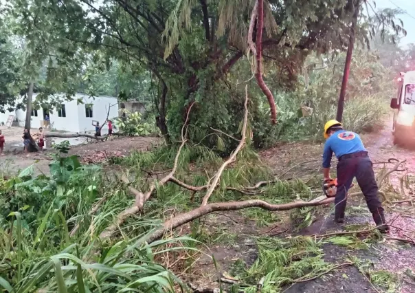Mini tornado causa destrozos en Villahermosa, Tabasco; varias colonias quedan sin luz