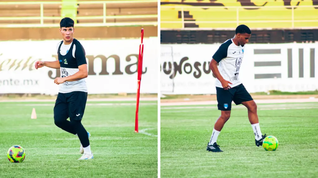 Venados de Yucatán trae más caras nuevas a la pretemporada