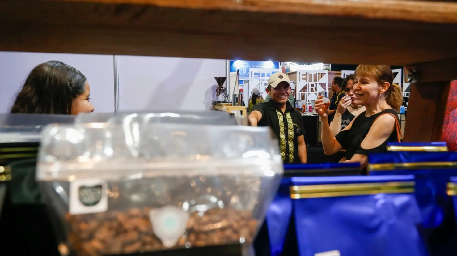Puebla aporta 21% del café que se cosecha en México: estos son los municipios líderes. Foto: Jafet Moz