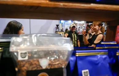 Puebla aporta 21% del café que se cosecha en México: estos son los municipios líderes