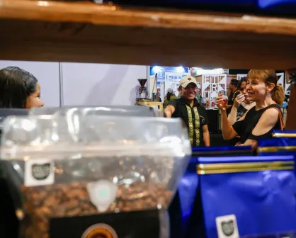 Puebla aporta 21% del café que se cosecha en México: estos son los municipios líderes