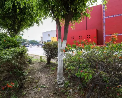 Puebla modifica la ley ambiental para calear árboles urbanos