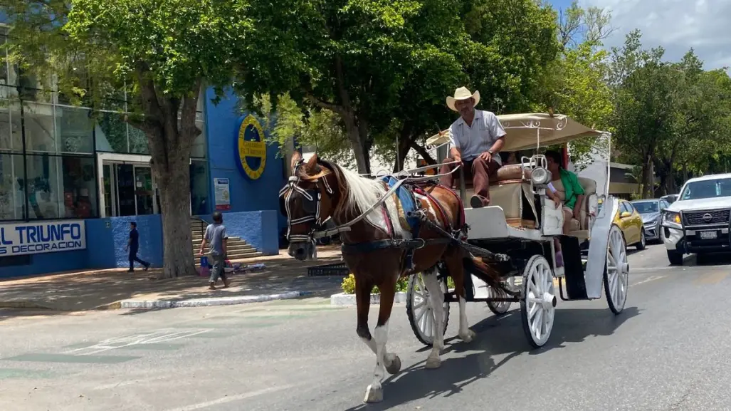 ¡No al maltrato animal! Este será el nuevo horario de las calesas en Mérida