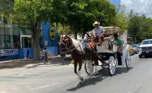 ¡No al maltrato animal! Este será el nuevo horario de las calesas en Mérida