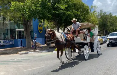 ¡No al maltrato animal! Este será el nuevo horario de las calesas en Mérida