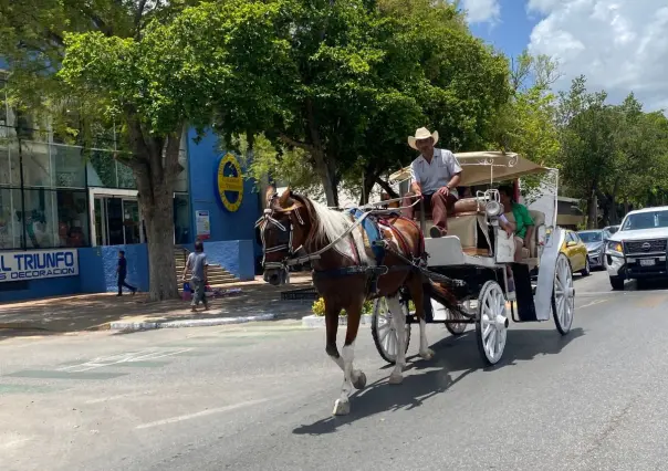¡No al maltrato animal! Este será el nuevo horario de las calesas en Mérida