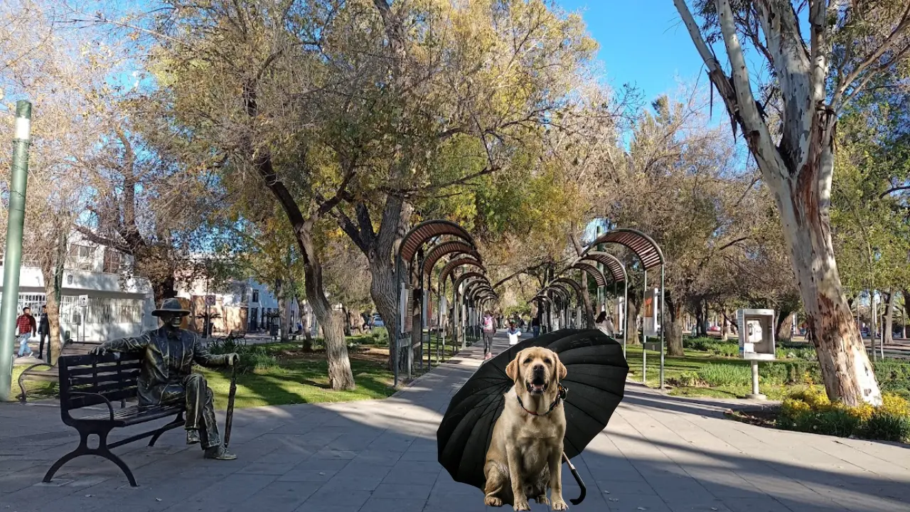 El clima en Durango para este sábado 14 de junio. Foto.: Citlalli Zoé Sánchez/Canva.
