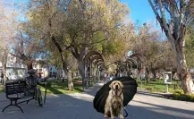 El clima en Durango: ¿cuál es el pronóstico para este sábado 14 de junio?