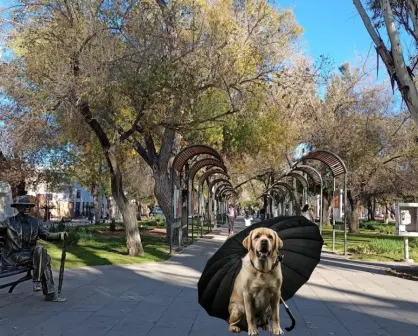 El clima en Durango: ¿cuál es el pronóstico para este sábado 14 de junio?