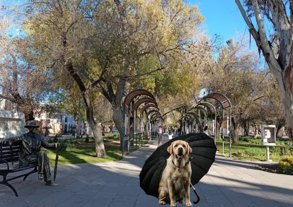 El clima en Durango: ¿cuál es el pronóstico para este sábado 14 de junio?