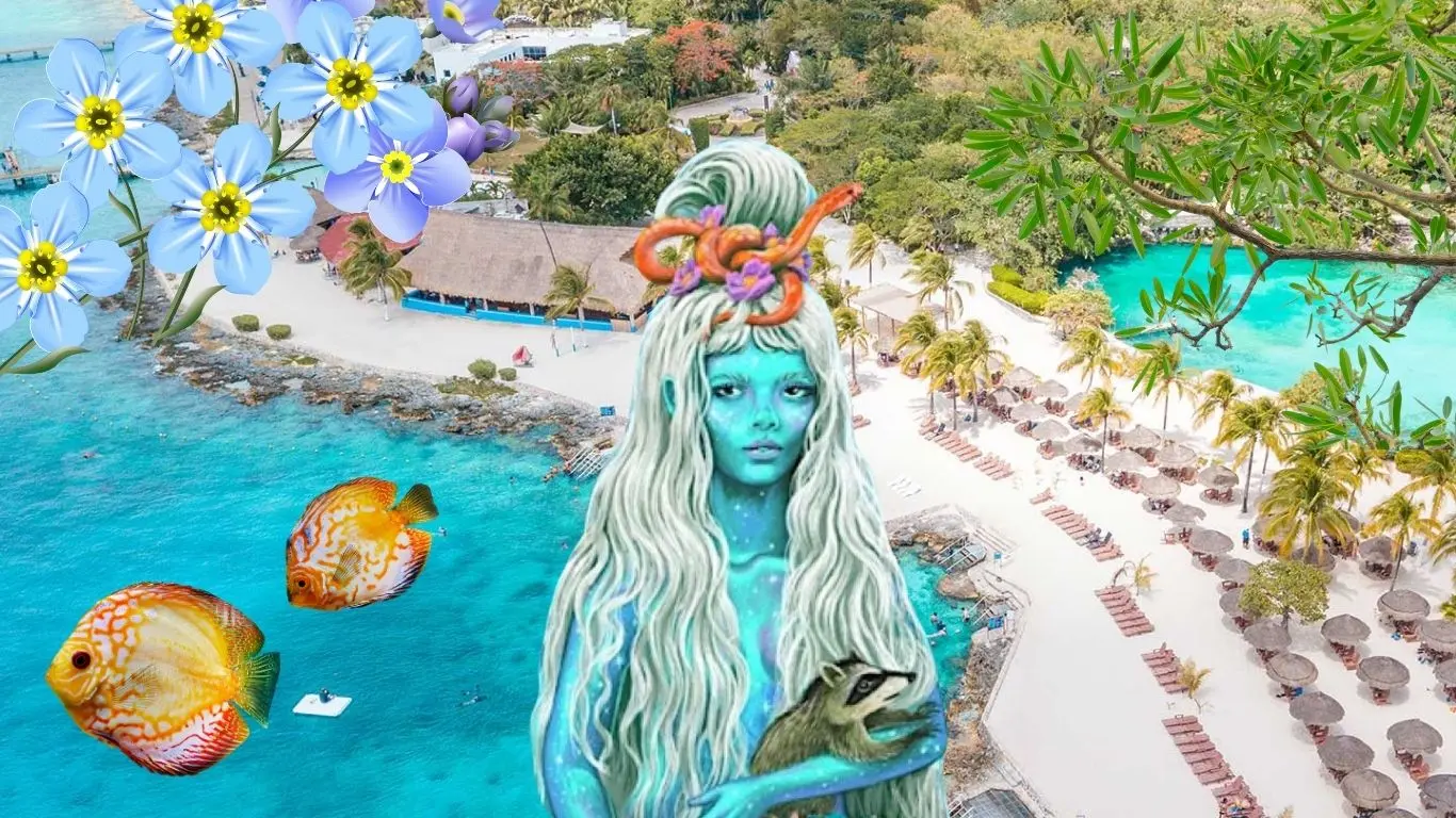 ¿Qué actividades ofrecerá Cozumel Vivo Fest?. Foto: Canva