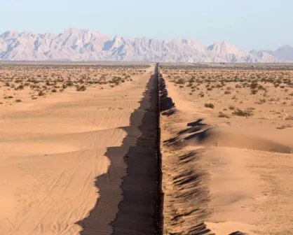 ¿Una especie del desierto aparece en Coahuila? Conoce a la misteriosa Rosa de Texas