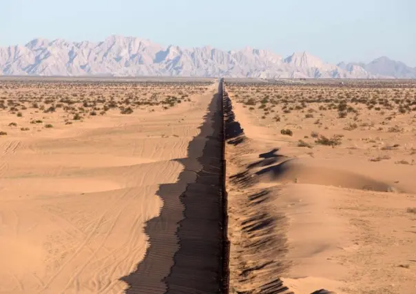 ¿Una especie del desierto aparece en Coahuila? Conoce a la misteriosa Rosa de Texas