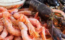 Este es el mercadito donde puedes comprar mariscos frescos en Tampico