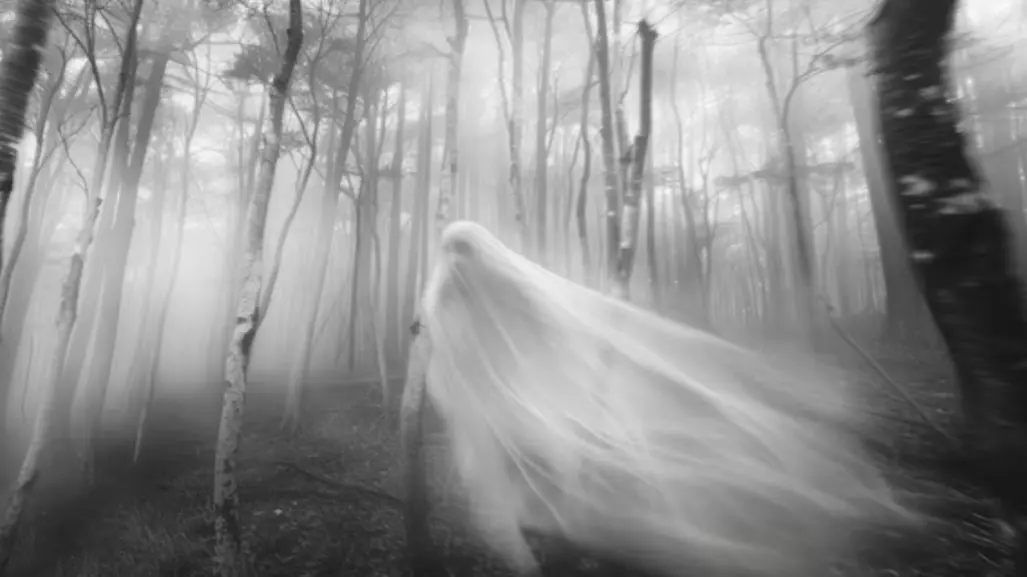 Esta es la leyenda de la llorona del río Guayalejo en Tampico