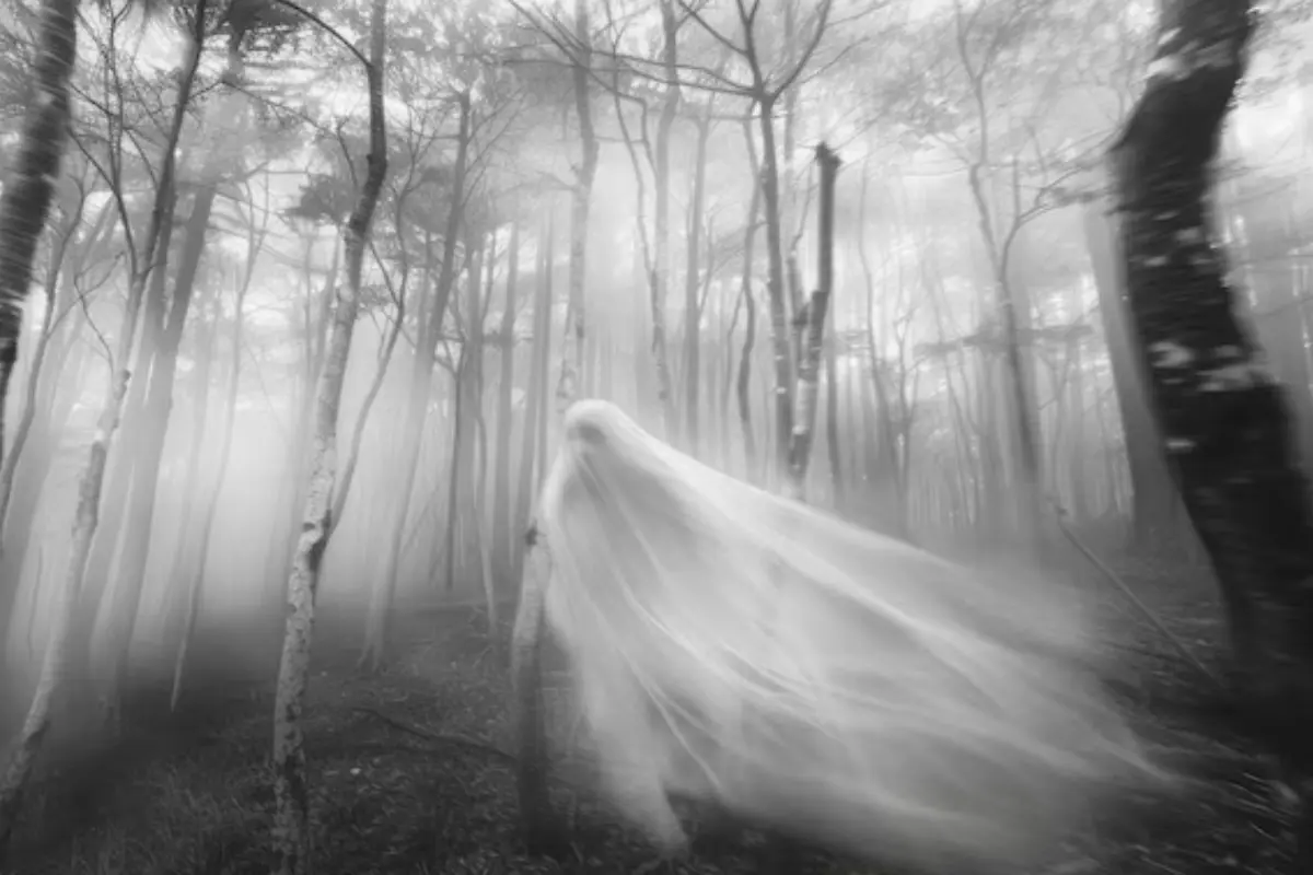 FREEPIK