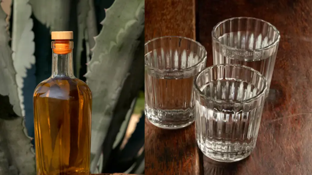 Estos son 3 tequilas tamaulipecos que puedes regalar el día del padre