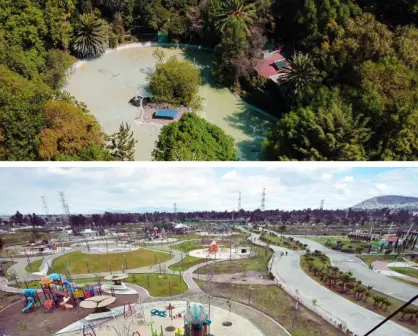 ¿Por qué hay más árboles en la Roma que en Iztapalapa?