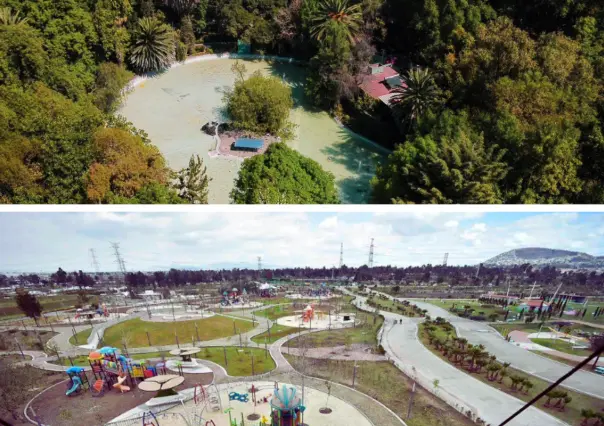 ¿Por qué hay más árboles en la Roma que en Iztapalapa?