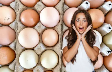¿Dónde comprar huevos orgánicos en Mérida? Conoce todo sobre el slow food yucateco