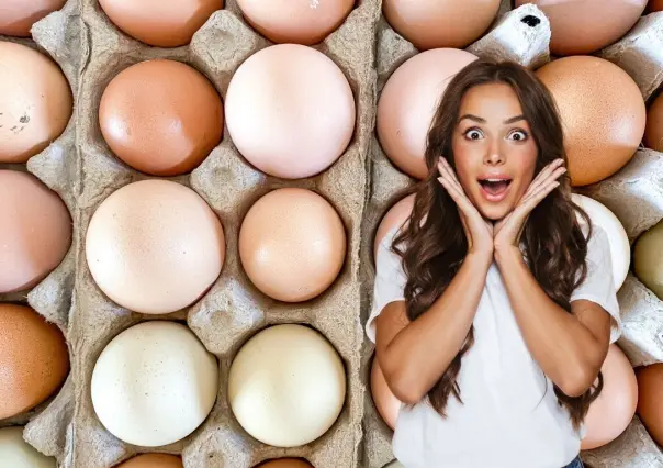 ¿Dónde comprar huevos orgánicos en Mérida? Conoce todo sobre el slow food yucateco