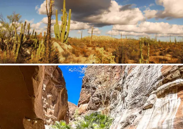 3 paisajes de BCS que no existen ni en Star Wars porque parecen de otro planeta