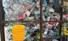Estos materiales son los mejores para reciclaje en Durango desde casa